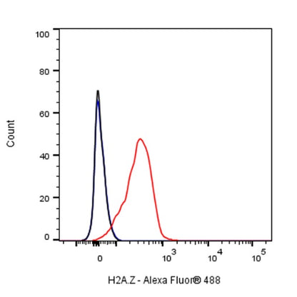H2A.Z Recombinant Rabbit mAb (S-863-148)