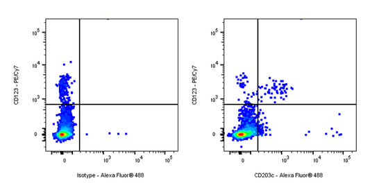 Alexa Fluor® 488 Mouse Anti-Human CD203c Antibody (NP4D6)