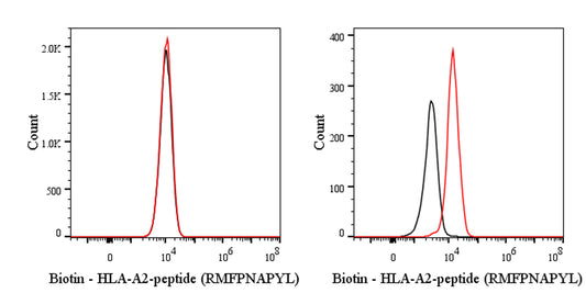 HLA-A2-peptide (RMFPNAPYL) Recombinant mAb (S-4194) (Biotin Conjugate)