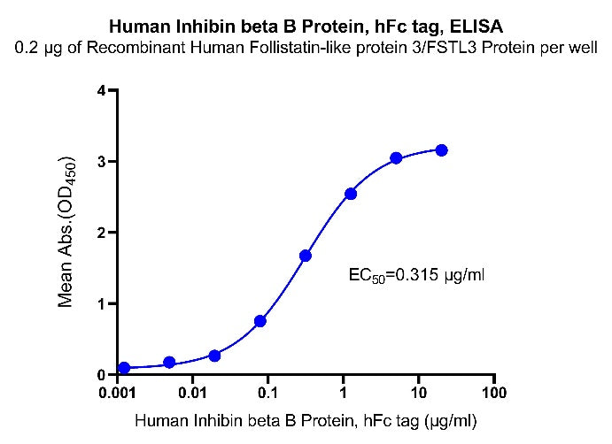 Inhibin beta B hFc Tag Protein, Human
