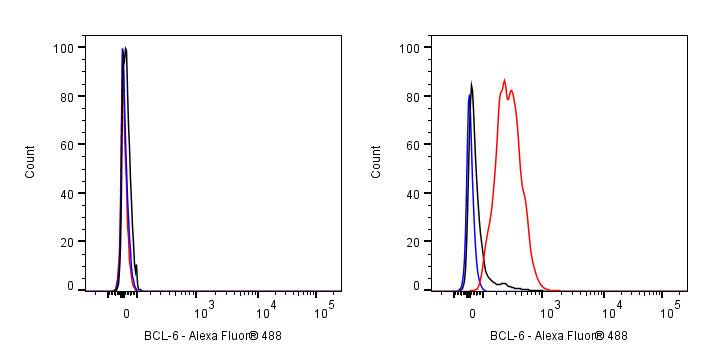 BCL-6 Recombinant Mouse mAb (S-R634)
