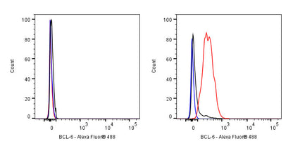 BCL-6 Recombinant Mouse mAb (S-R634)