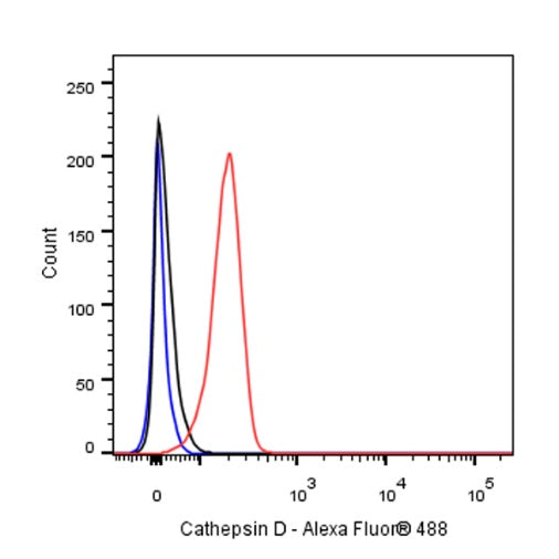 Cathepsin D Recombinant Rabbit mAb (S-R345)