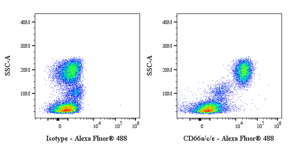 Alexa Fluor® 488 Mouse Anti-Human CD66a/c/e Antibody (S-3923)