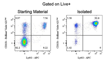 Mouse Neutrophil Isolation Kit (Column-Based)