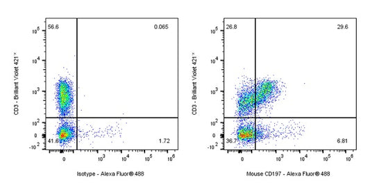 Rat Anti-Mouse CD197 (CCR7) Antibody (4B12)