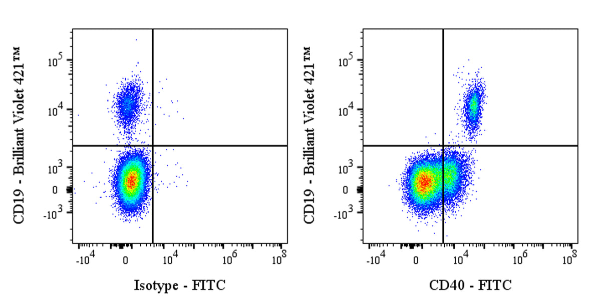 FITC Human Anti-Human CD40 Antibody (ABBV-323)