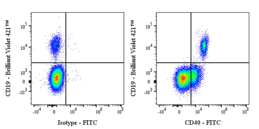 FITC Human Anti-Human CD40 Antibody (ABBV-323)