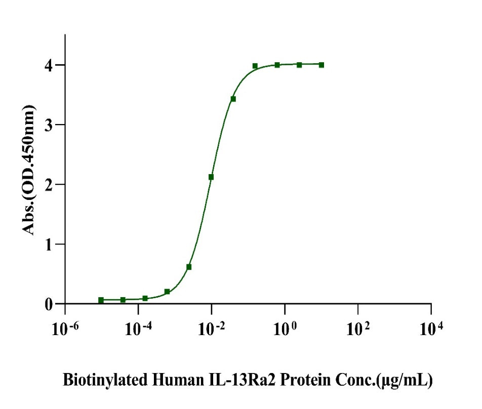IL-13 His Tag Protein, Human