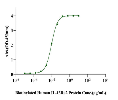 IL-13 His Tag Protein, Human