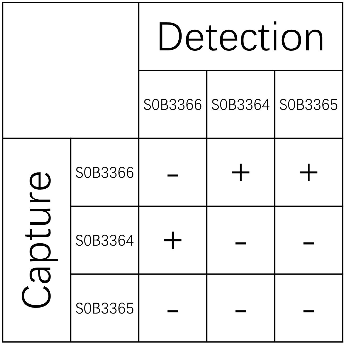 IL-33 Recombinant Rabbit mAb (SDT-1700-37)