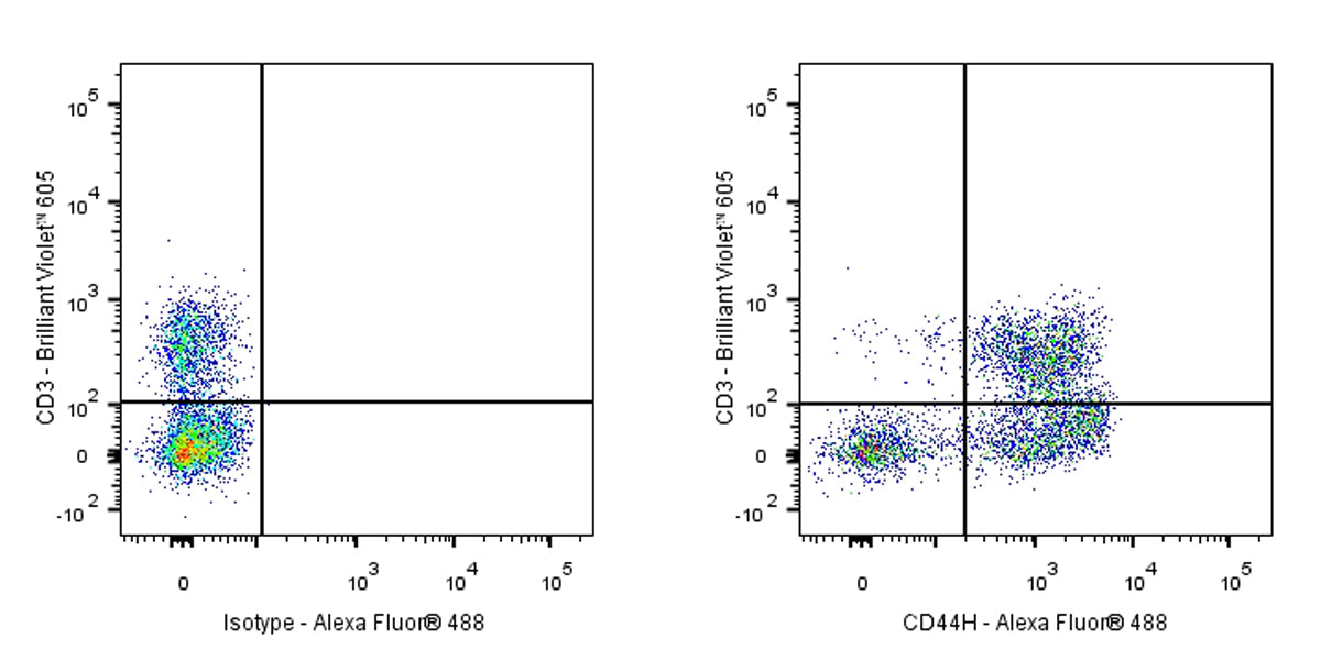 Mouse Anti-Rat CD44H Antibody (OX-49)