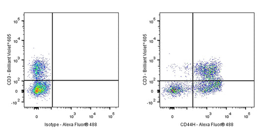 Mouse Anti-Rat CD44H Antibody (OX-49)