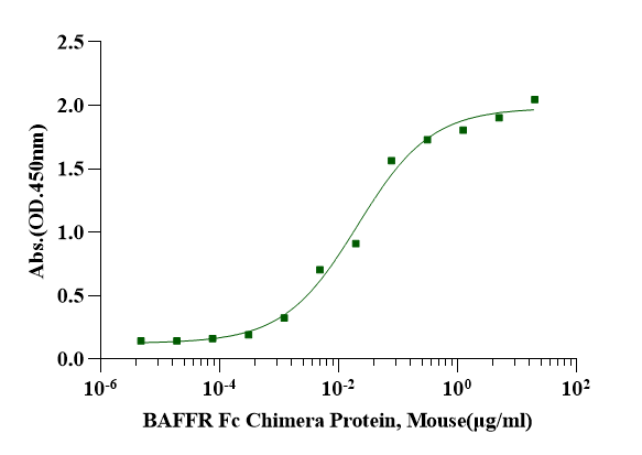BAFF Protein, Mouse