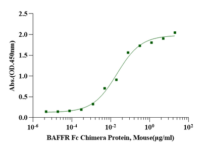 BAFF Protein, Mouse