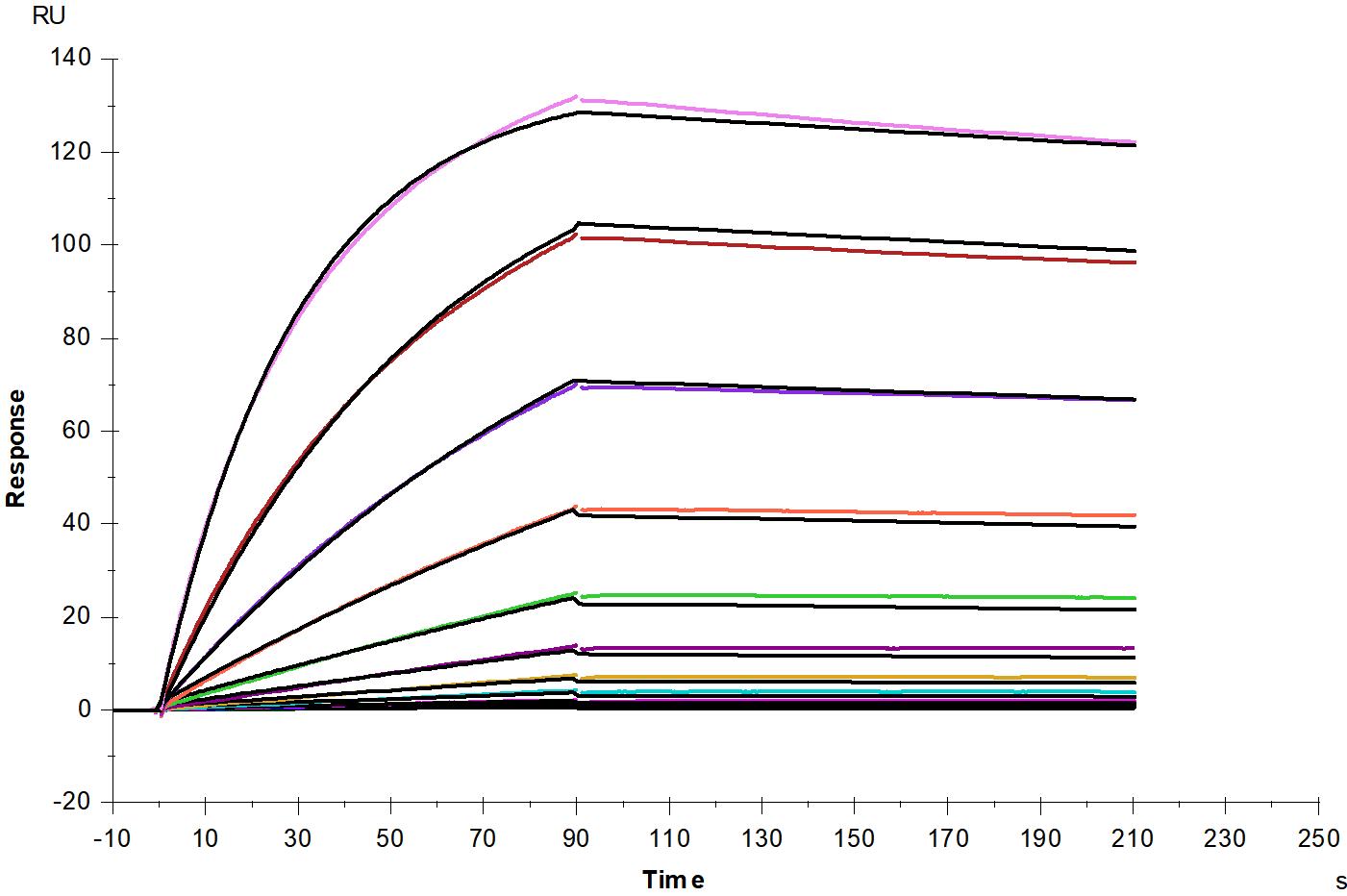 CD221/IGF1R His Tag Protein, Human