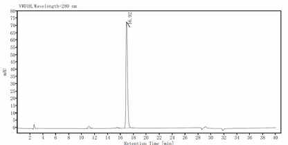 R-Spondin1 Protein, Mouse