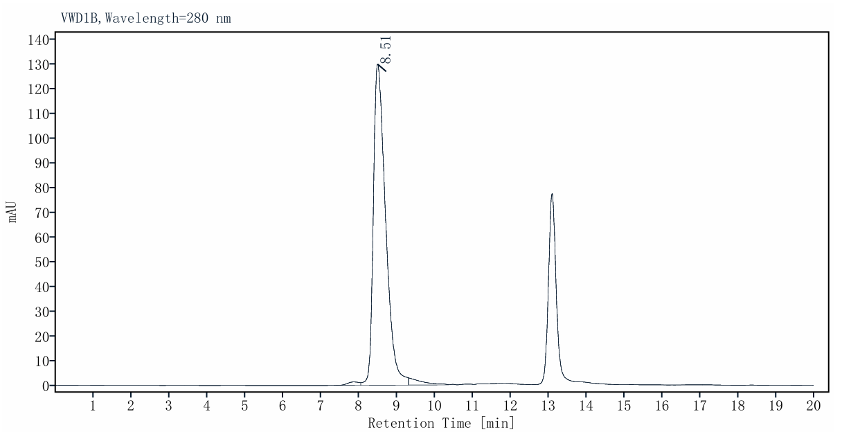 RIPK2 Flag Tag Protein, Human