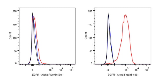 Human Anti-Human EGFR Antibody (S-2798-2)