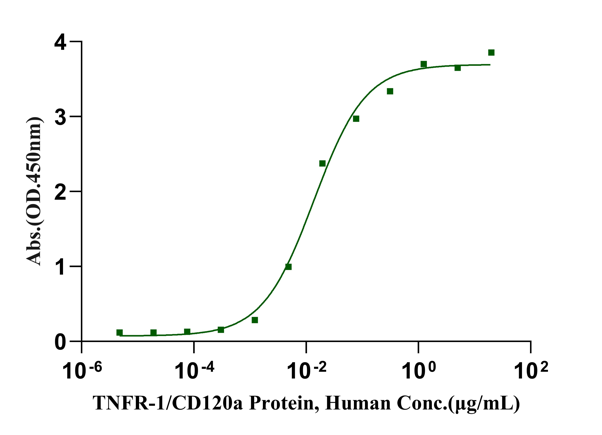 TNFR-1/CD120a Protein, Human