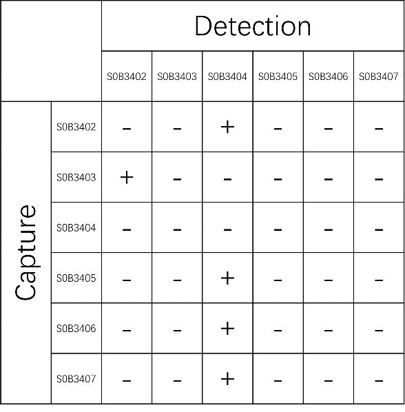 IL-29/IL-28 Recombinant Rabbit mAb (SDT-1838-9-2)