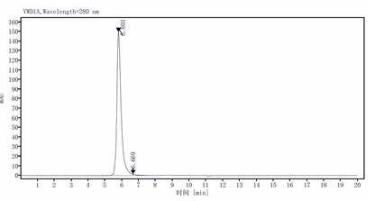 IL-12 R beta 1 Fc Chimera Protein, Human