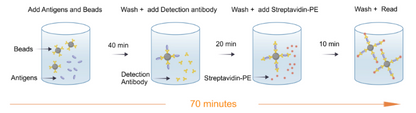 Human Essential Immune Biomarker 7-Plex Kit (Flow Cytometry Multiplex Bead Assay)