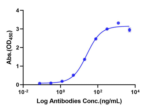 Anti-Human HER2 Monoclonal Antibody(Trastuzumab)