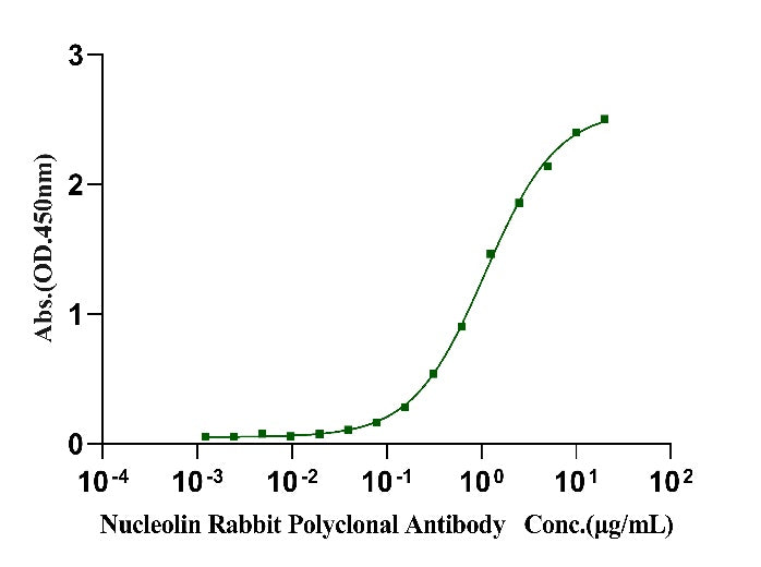 Biotinylated Nucleolin/NCL His&Avi Tag Protein, Human