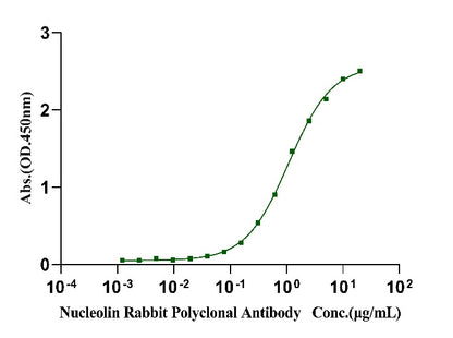 Biotinylated Nucleolin/NCL His&Avi Tag Protein, Human