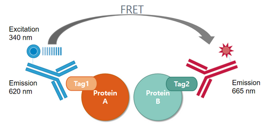CD40:CD40L TR-FRET Assay Kit