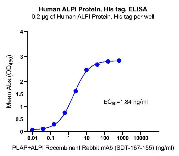 ALPI His Tag Protein, Human