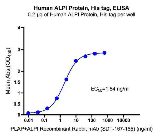 ALPI His Tag Protein, Human