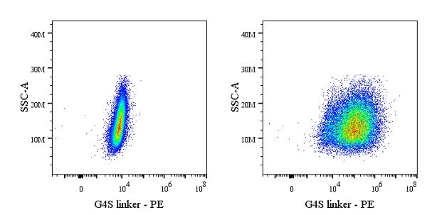 G4S Linker Recombinant Rabbit mAb (PE Conjugate) (S-711-23)