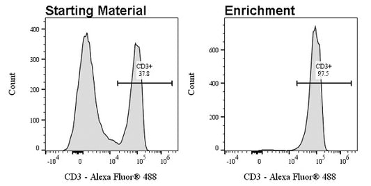 Anti-biotin Nanobeads