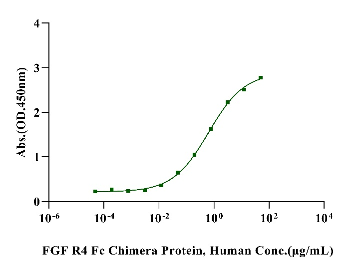 FGF R4 Fc Chimera Protein, Human