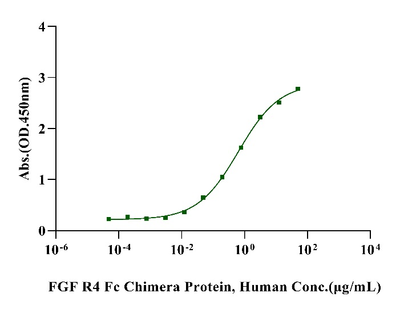 FGF R4 Fc Chimera Protein, Human