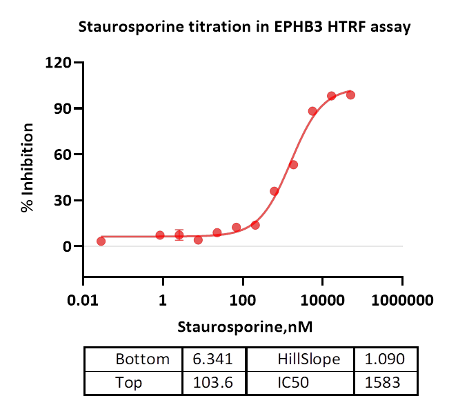 EPHB3 Protein