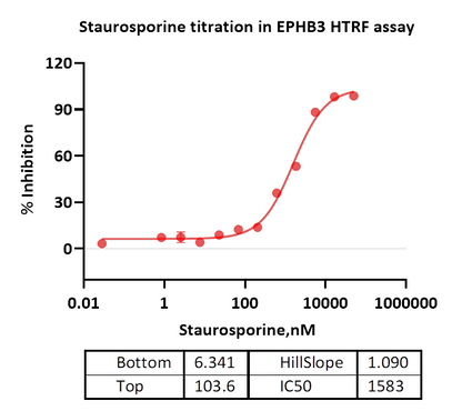 EPHB3 Protein