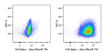 G4S linker Recombinant Rabbit mAb (Alexa Fluor® 700 Conjugate) (S-5030)