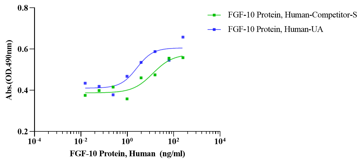 FGF-10 Protein, Human