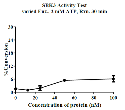 SBK3 His&GST Tag Protein, Human