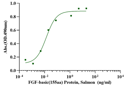 FGF-basic(155aa) Protein, Salmon