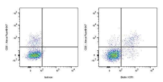 Biotin Mouse Anti-Mouse XCR1 Antibody (S-R601)