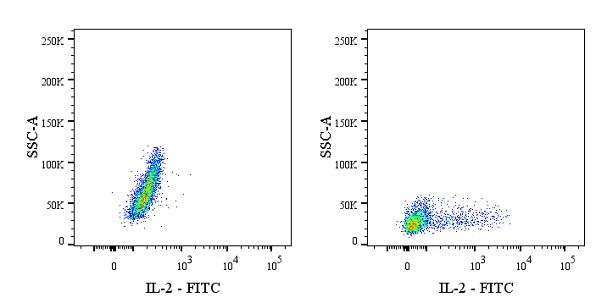 FITC Rat Anti-Mouse IL-2 Antibody (JES6-5H4)