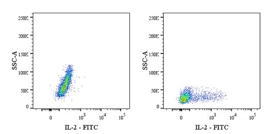 FITC Rat Anti-Mouse IL-2 Antibody (JES6-5H4)