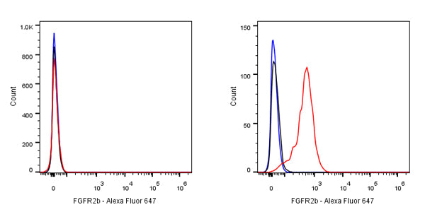 FGFR2b Recombinant Rabbit mAb (SDT-423-18)