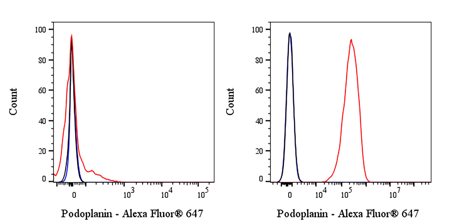 Rat Anti-Human Podoplanin Antibody (S-2796)