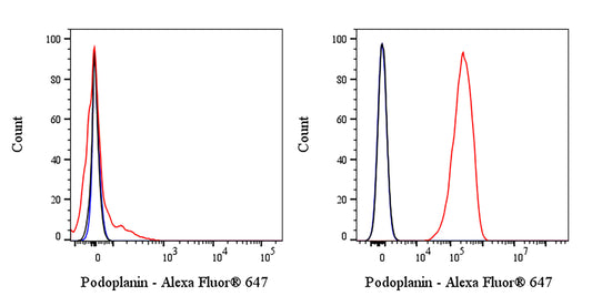 Rat Anti-Human Podoplanin Antibody (S-2796)