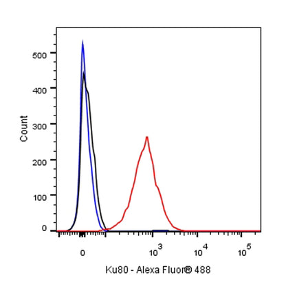 Ku80 Recombinant Rabbit mAb (S-R226)